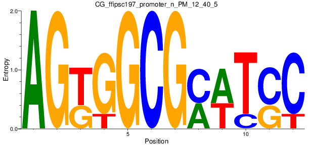 CG_ffipsc197_promoter_n_PM_12_40_5