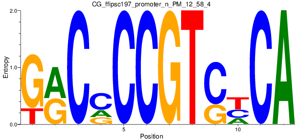 CG_ffipsc197_promoter_n_PM_12_58_4