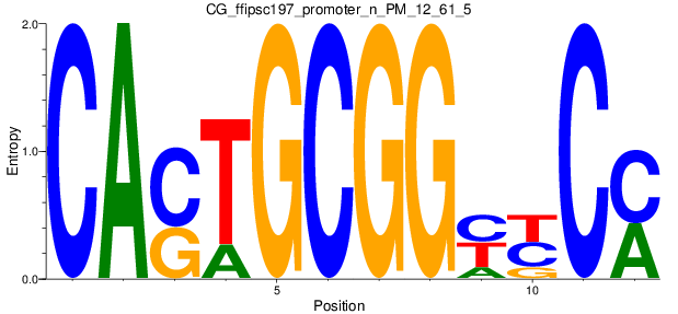 CG_ffipsc197_promoter_n_PM_12_61_5