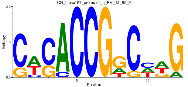 CG_ffipsc197_promoter_n_PM_12_65_9