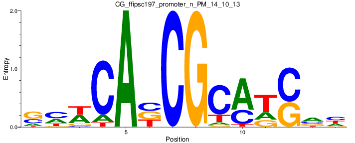 CG_ffipsc197_promoter_n_PM_14_10_13