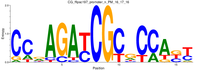 CG_ffipsc197_promoter_n_PM_16_17_16