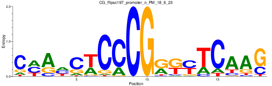 CG_ffipsc197_promoter_n_PM_18_6_23