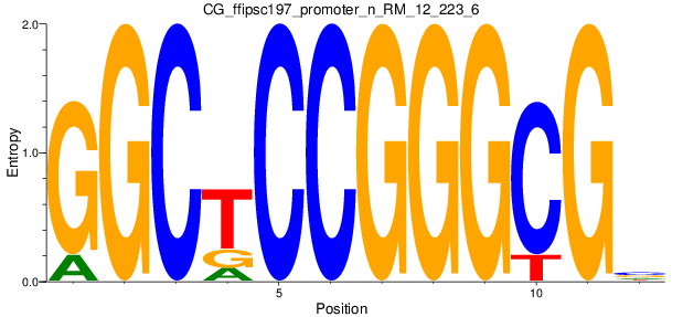 CG_ffipsc197_promoter_n_RM_12_223_6