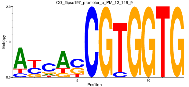 CG_ffipsc197_promoter_p_PM_12_116_9