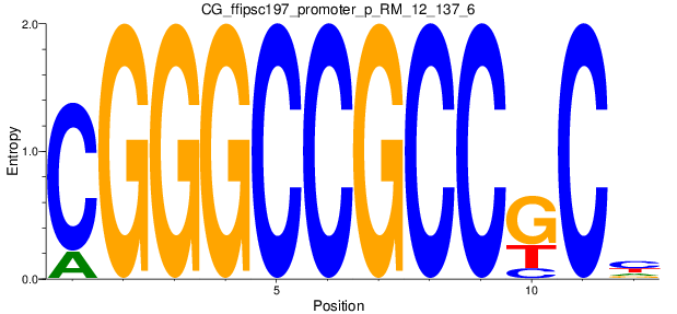 CG_ffipsc197_promoter_p_RM_12_137_6