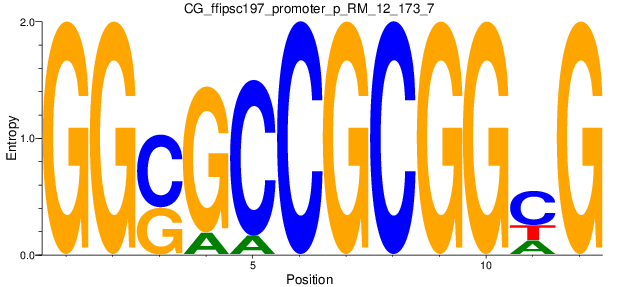 CG_ffipsc197_promoter_p_RM_12_173_7