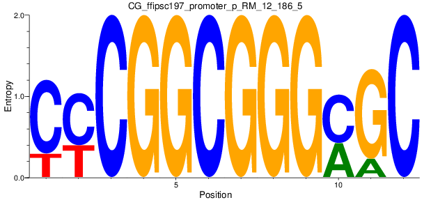 CG_ffipsc197_promoter_p_RM_12_186_5