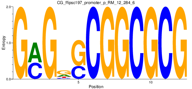 CG_ffipsc197_promoter_p_RM_12_284_6