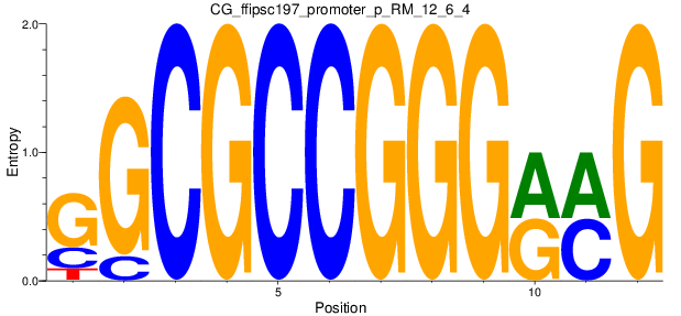 CG_ffipsc197_promoter_p_RM_12_6_4