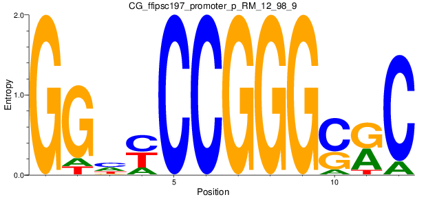 CG_ffipsc197_promoter_p_RM_12_98_9