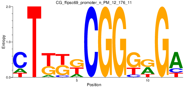 CG_ffipsc69_promoter_n_PM_12_176_11