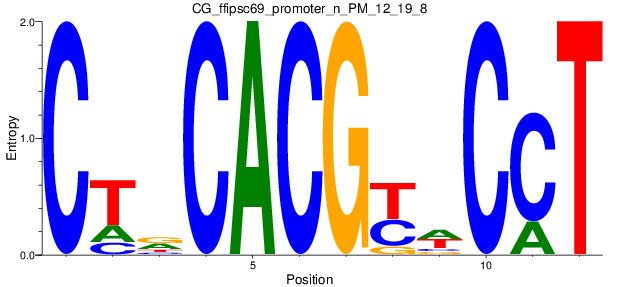 CG_ffipsc69_promoter_n_PM_12_19_8