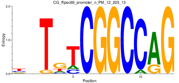 CG_ffipsc69_promoter_n_PM_12_205_13