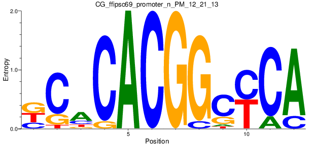 CG_ffipsc69_promoter_n_PM_12_21_13
