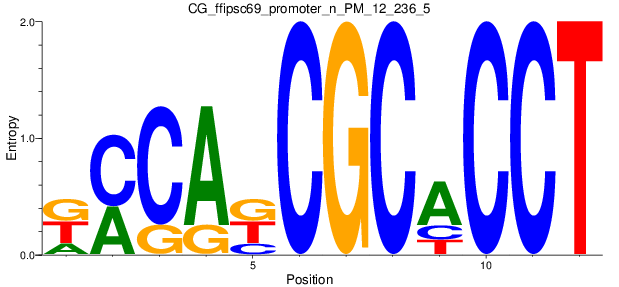 CG_ffipsc69_promoter_n_PM_12_236_5