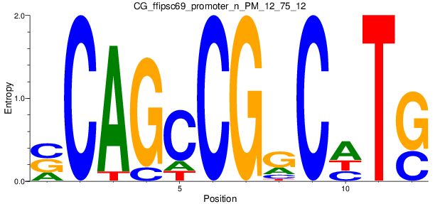 CG_ffipsc69_promoter_n_PM_12_75_12