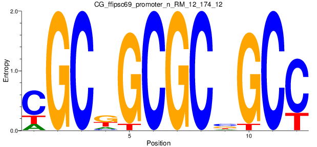 CG_ffipsc69_promoter_n_RM_12_174_12