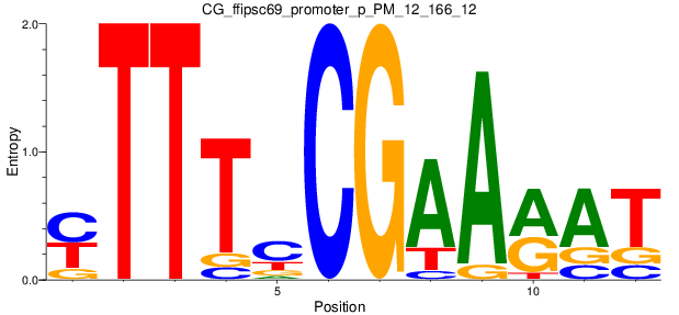 CG_ffipsc69_promoter_p_PM_12_166_12