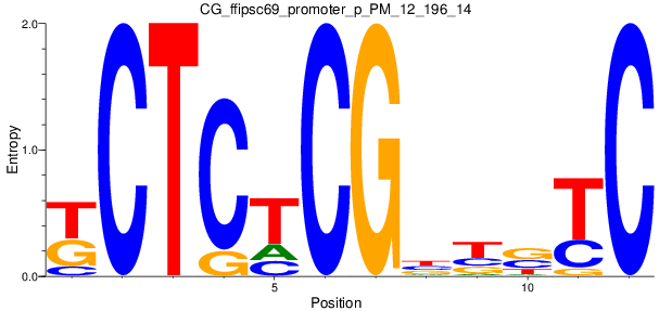 CG_ffipsc69_promoter_p_PM_12_196_14