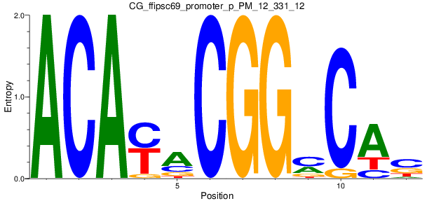 CG_ffipsc69_promoter_p_PM_12_331_12