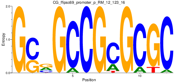 CG_ffipsc69_promoter_p_RM_12_123_16