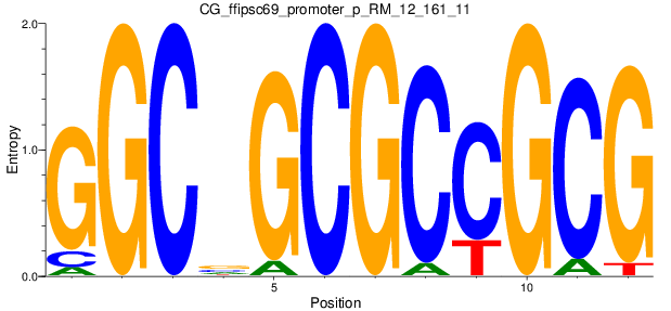 CG_ffipsc69_promoter_p_RM_12_161_11