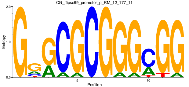 CG_ffipsc69_promoter_p_RM_12_177_11