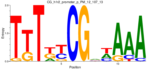 CG_h1r2_promoter_p_PM_12_107_13