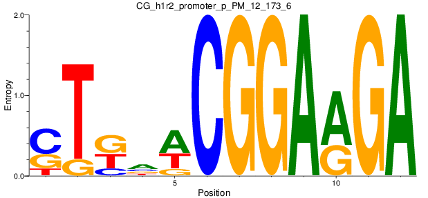 CG_h1r2_promoter_p_PM_12_173_6