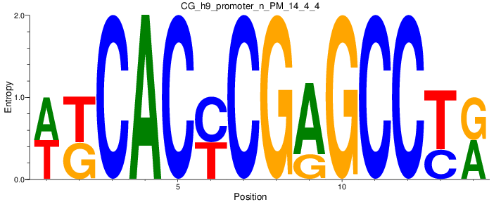 CG_h9_promoter_n_PM_14_4_4
