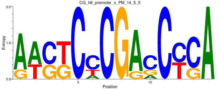 CG_h9_promoter_n_PM_14_5_5