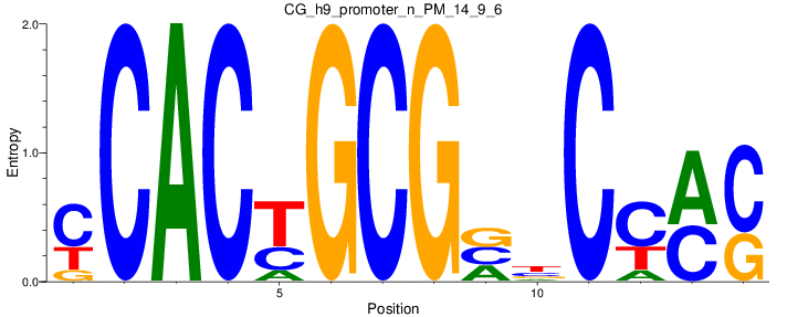 CG_h9_promoter_n_PM_14_9_6