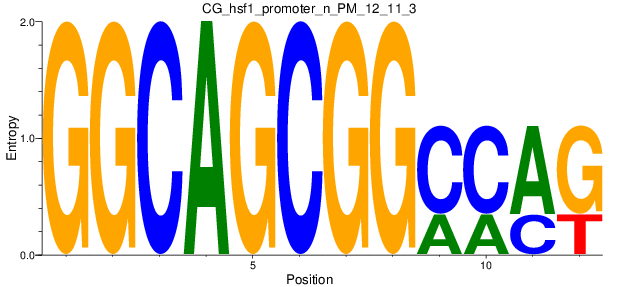 CG_hsf1_promoter_n_PM_12_11_3