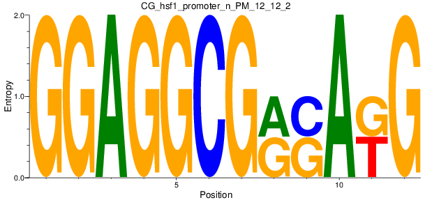 CG_hsf1_promoter_n_PM_12_12_2