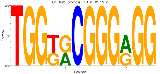CG_hsf1_promoter_n_PM_12_15_2