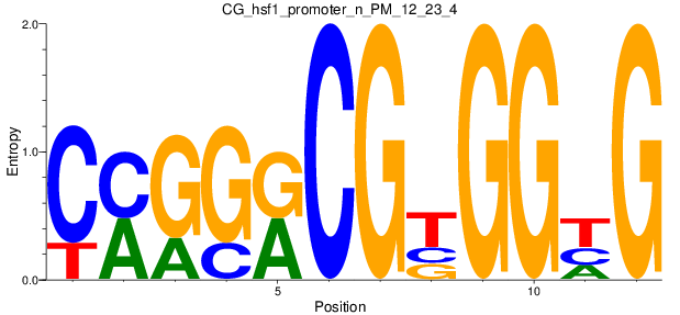 CG_hsf1_promoter_n_PM_12_23_4