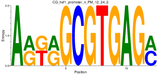 CG_hsf1_promoter_n_PM_12_24_2