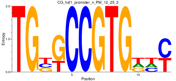CG_hsf1_promoter_n_PM_12_25_3