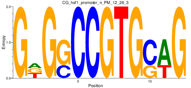 CG_hsf1_promoter_n_PM_12_26_3