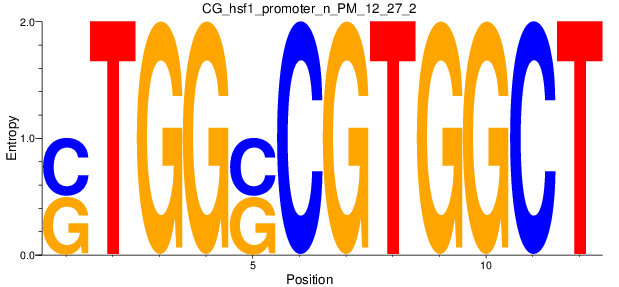 CG_hsf1_promoter_n_PM_12_27_2