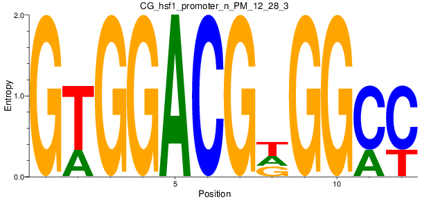 CG_hsf1_promoter_n_PM_12_28_3
