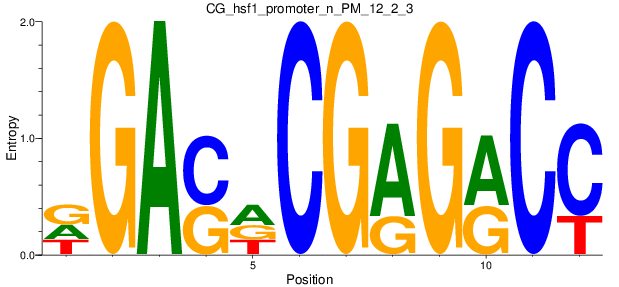 CG_hsf1_promoter_n_PM_12_2_3