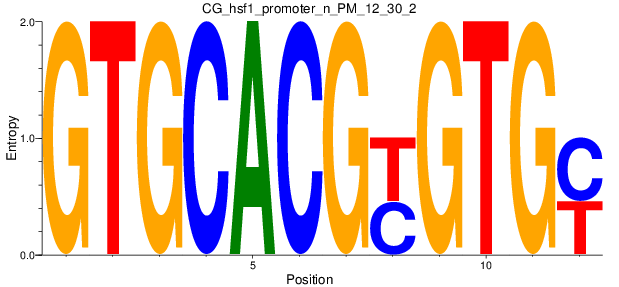 CG_hsf1_promoter_n_PM_12_30_2