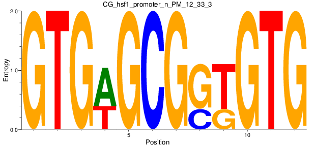 CG_hsf1_promoter_n_PM_12_33_3