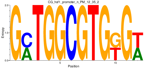CG_hsf1_promoter_n_PM_12_35_2