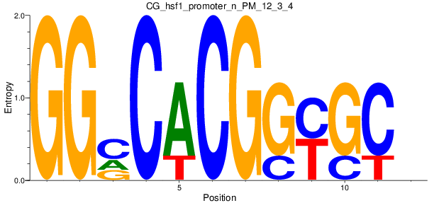CG_hsf1_promoter_n_PM_12_3_4