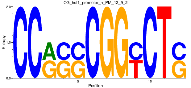 CG_hsf1_promoter_n_PM_12_9_2