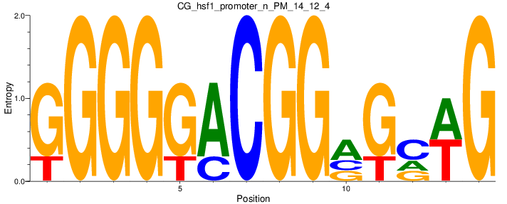CG_hsf1_promoter_n_PM_14_12_4