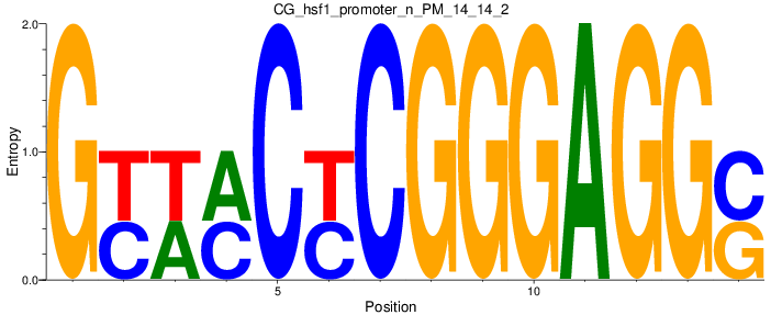 CG_hsf1_promoter_n_PM_14_14_2